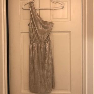 Express Silver Dress